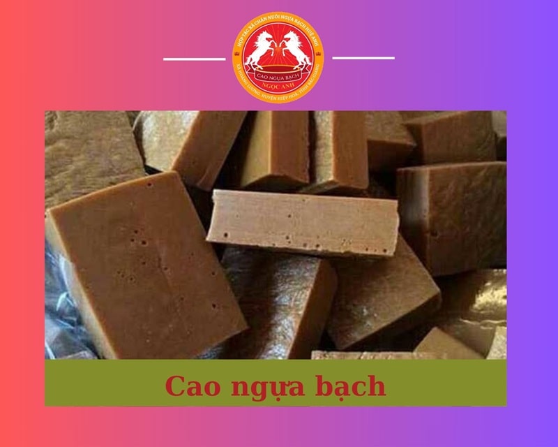 Cao ngựa bạch Ngọc Anh chất lượng